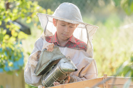 Teenage beekeeper is inspecting commercial bee yard