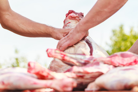 Separation of a farm mutton carcass for meat portionsの写真素材