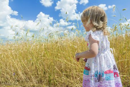 Back view portrait of two years old blonde girl is looking at country farm fieldの写真素材