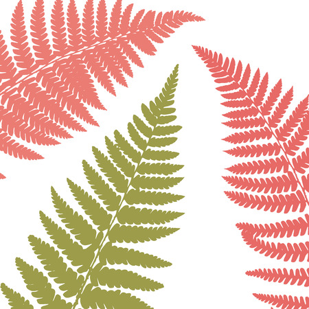 Fern leaf background. Tropical botanical card. Vector illustrationのイラスト素材