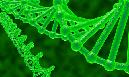 DNA under the microscopeの写真素材