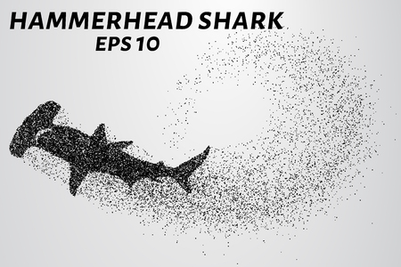 The hammerhead shark from the particles. Fish hammer consists of small circles.のイラスト素材