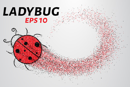 Ladybug of particles. Silhouette ladybugs of small circles.のイラスト素材