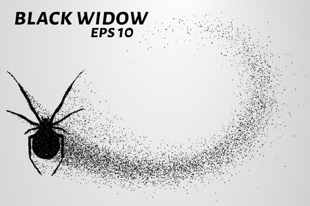Black widow from the particles. The silhouette of the black widow of small circles.のイラスト素材