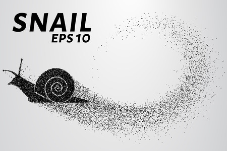 Snail of the particles. Silhouette of snail is of little circles.のイラスト素材