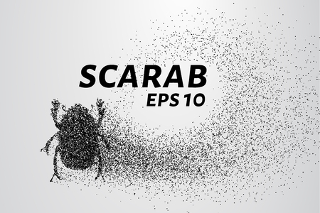 The scarab of the particles. The scarab is made up of little circles and dots.のイラスト素材