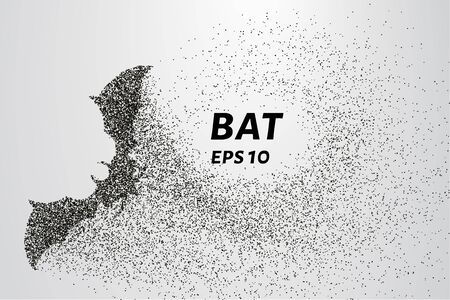 Bat out of particles. Bat consists of circles and points.のイラスト素材