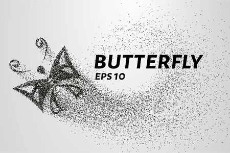 Butterfly of the particles. The butterfly consists of circles and points.のイラスト素材