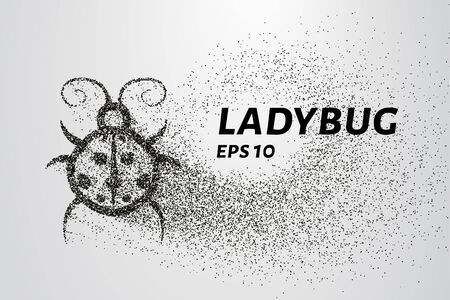 Ladybug of particles. Ladybug consists of circles and points.のイラスト素材
