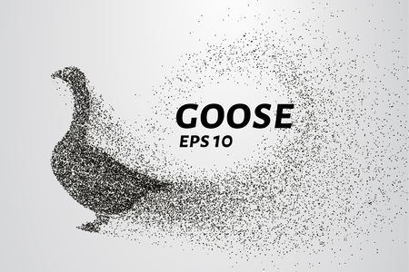 Goose of the particles. Goose consists of circles and points.のイラスト素材