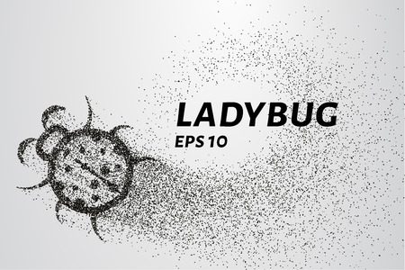 Ladybug of particles. Ladybug consists of circles and points.のイラスト素材