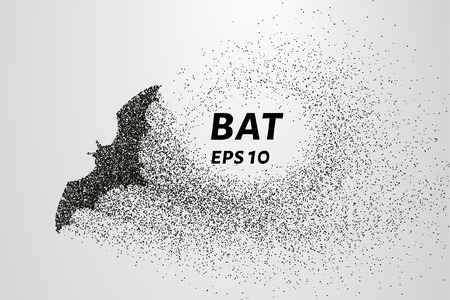 Bat out of particles. Bat consists of circles and points. Vector illustration.のイラスト素材