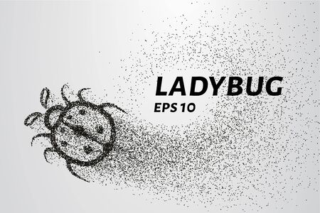 Ladybug of particles. Ladybug consists of circles and points. Vector illustration.のイラスト素材