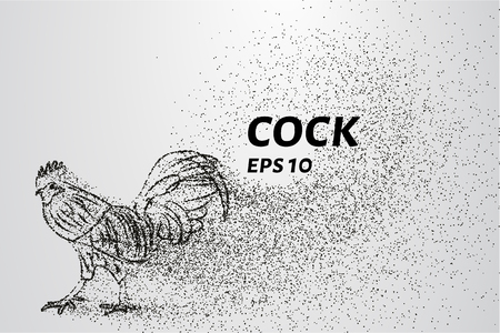 Cock of the particles. The cock consists of circles and points. Vector illustration.のイラスト素材