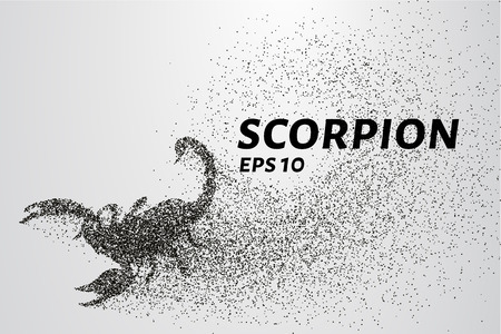 Scorpio of the particles. Scorpio consists of circles and points. Vector illustration.のイラスト素材