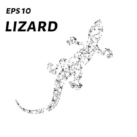 The lizard consists of points, lines and triangles. The polygon shape in the form of a silhouette of a lizard on a white background. Vector illustrationのイラスト素材