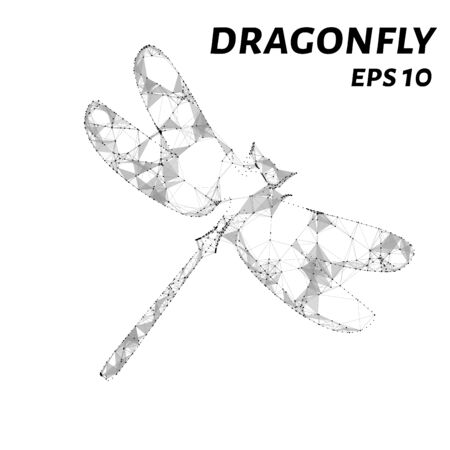Dragonfly consists of points, lines and triangles. The polygon shape in the form of a silhouette of a dragonfly. Vector illustration.のイラスト素材