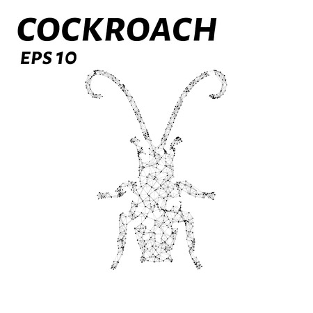 Cockroach consists of points, lines and triangles. The polygon shape in the form of a silhouette of a cockroach on a dark background.のイラスト素材