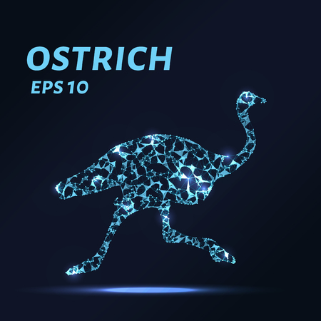 The ostrich consists of points, lines and triangles. The polygon shape in the form of a silhouette of an ostrich on a dark background Vector illustrationのイラスト素材