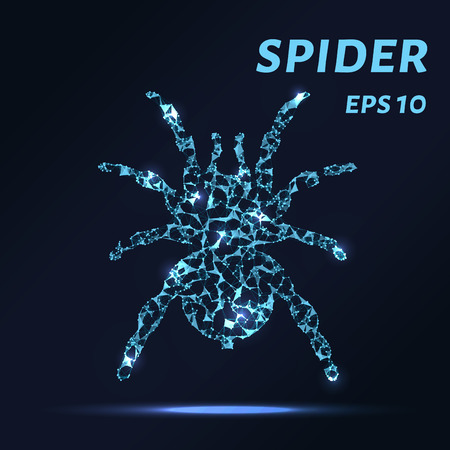 The spider consists of points, lines and triangles. The polygon shape in the form of a silhouette of a spider on a dark background Vector illustrationのイラスト素材