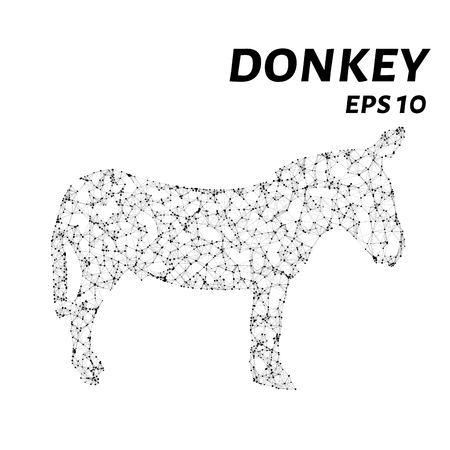 Donkey consists of points, lines and triangles. The polygon shape in the form of a silhouette of a donkey on a white background Vector illustrationのイラスト素材