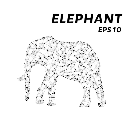 The elephant consists of points, lines and triangles. The polygon shape in the form of a silhouette of an elephant against a white background Vector illustrationのイラスト素材