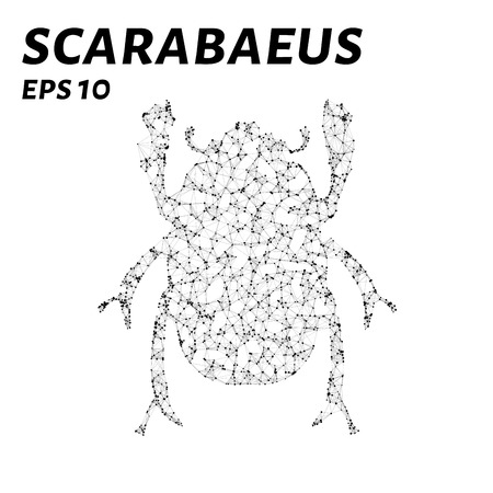 Scarab consists of points, lines and triangles. The polygon shape in the form of a silhouette of a scarab on a white background. Vector illustrationのイラスト素材