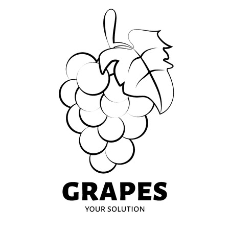 Grapes logo. Brand's logo in the form of grapesのイラスト素材