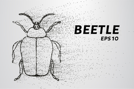 Beetle of the particles. Beetle consists of small circles and dots. Vector illustrationのイラスト素材