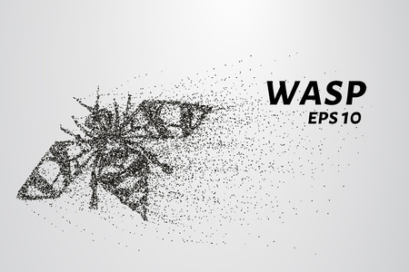 Wasp of the particles. Wasp consists of circles and points. Vector illustrationのイラスト素材