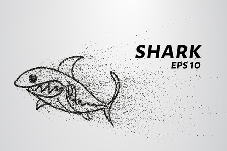The shark from the particle. The shark consists of circles and points. Vector illustrationのイラスト素材
