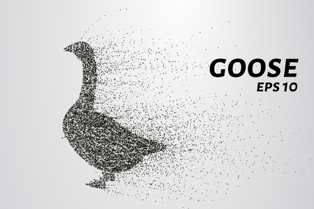Goose of the particles. Goose consists of circles and points. Vector illustrationのイラスト素材