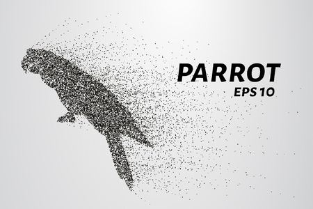 Parrot of the particles. Parrot consists of circles and points. Vector illustrationのイラスト素材
