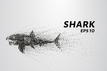 The shark from the particle. The shark consists of circles and points. Vector illustrationのイラスト素材