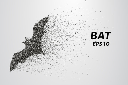 Bat out of particles. Bat consists of circles and points. Vector illustrationのイラスト素材
