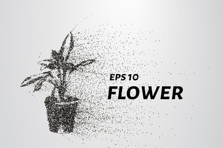 Flower of the particles. The flower pot consists of circles and points. Vector illustrationのイラスト素材
