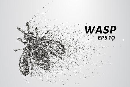 Wasp of the particles. Wasp consists of circles and points. Vector illustrationのイラスト素材