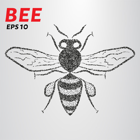 Bee points. Vector drawing of a bee consists of circlesのイラスト素材