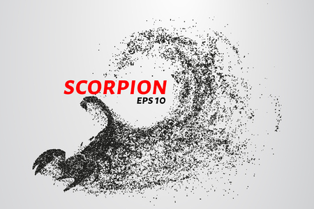 Scorpio of the particles. Scorpio consists of circles and points. Vector illustration.のイラスト素材