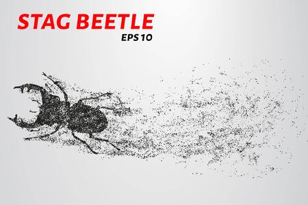 Beetle of the particles. Beetle consists of small circles and dots. Vector illustration.のイラスト素材