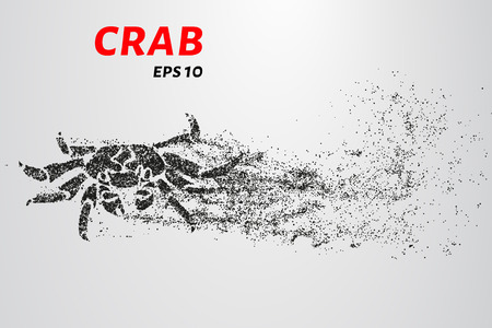 Crab particles. The crab consists of small circlesのイラスト素材