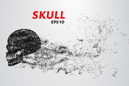 Skull of the particles. The skull consists of circles and points. Vector illustrationのイラスト素材