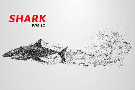 The shark from the particle. The shark consists of circles and points. Vector illustrationのイラスト素材