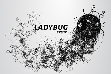 Ladybug of particles. Ladybug is made of circles and dots. Vector illustration.のイラスト素材