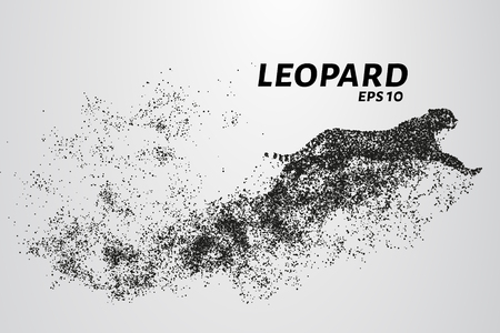 Leopard of particles. The leopard consists of circles and points. Vector illustrationのイラスト素材