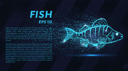 Fish from the particles. Fish consists of small circles and dots. Vector illustrationのイラスト素材
