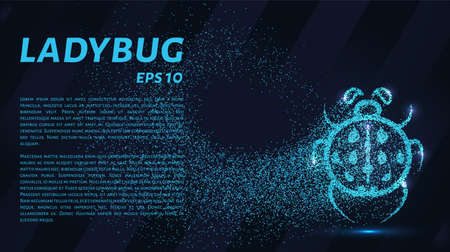 Ladybug of particles. Ladybug consists of circles and points. Vector illustrationのイラスト素材