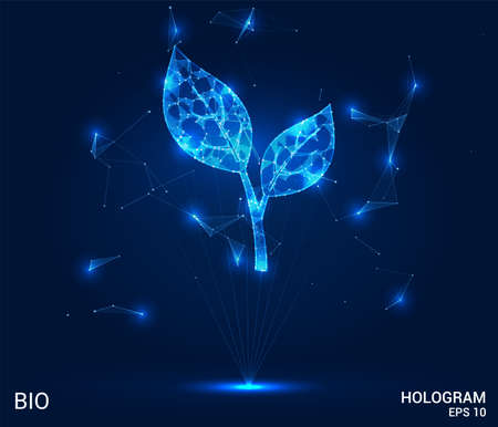 Bio hologram. Bio petals made up of polygons, triangles, points, and lines. The plant is low, the structure of the compound. The technology conceptのイラスト素材