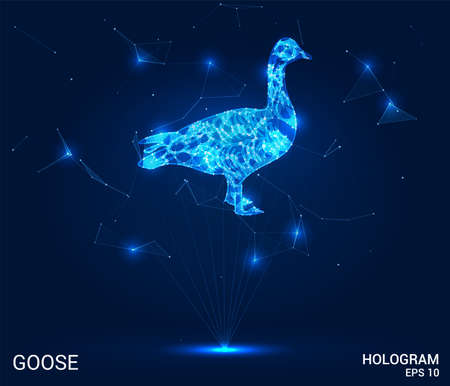 The goose hologram. A goose made up of polygons, triangles, points, and lines. Goose low poly compound structure. The technology conceptのイラスト素材