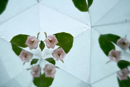 natural backgroundの写真素材